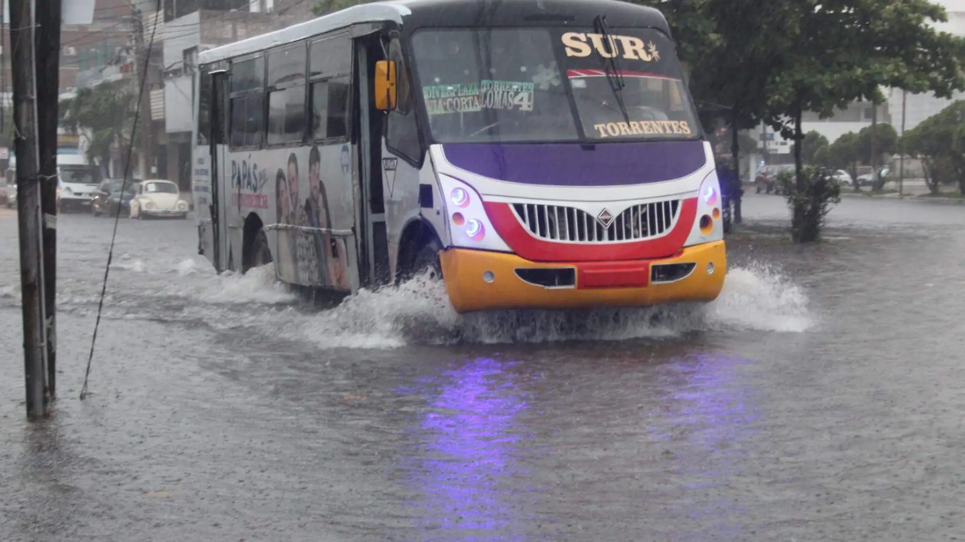 Camiones | Autobuses de Veracruz 